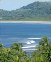 Tamarindo