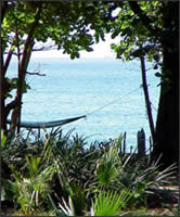 Santa Teresa