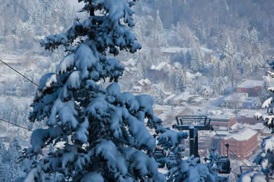 SNOWMASS