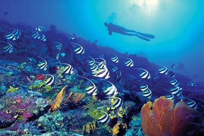 Fiji